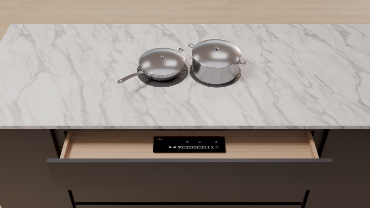 Invis Cooktop Invisacook 2 Burner Induction Cooktop – Flush-Mount (110V or 220V ...